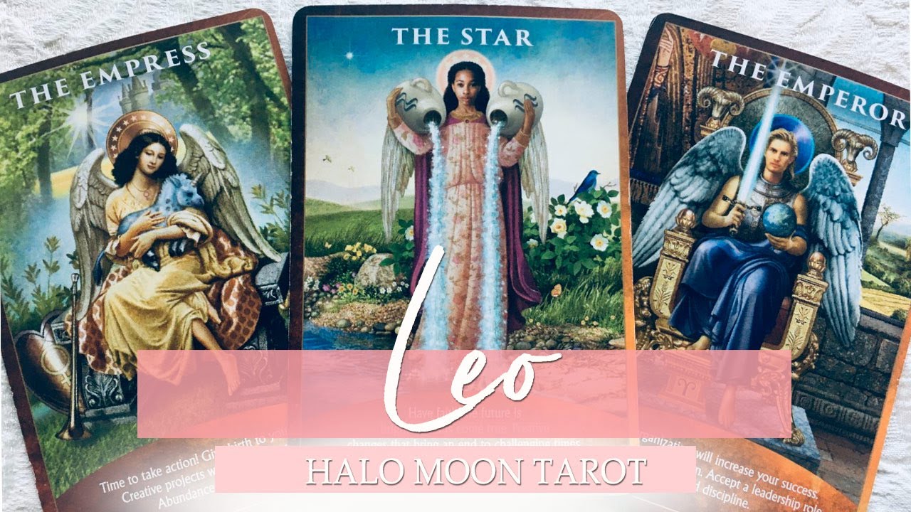 LEO -  TIME TO MEET THE NEXT NEW LOVE. TRUST YOUR INNER SELF