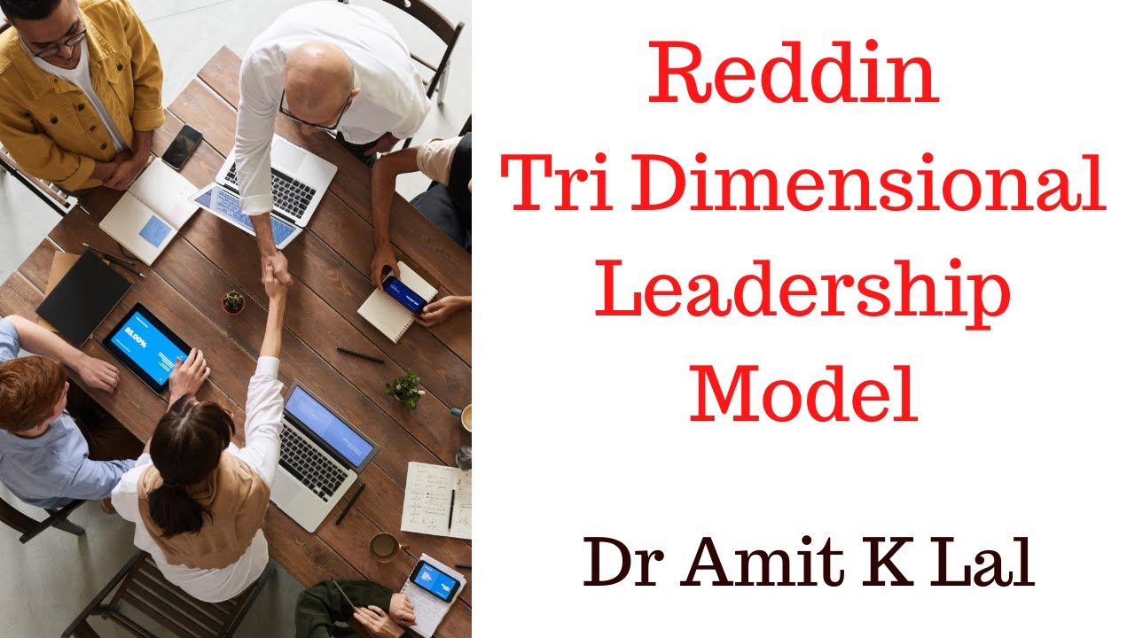 Reddin Tri Dimensional Leadership Theory
