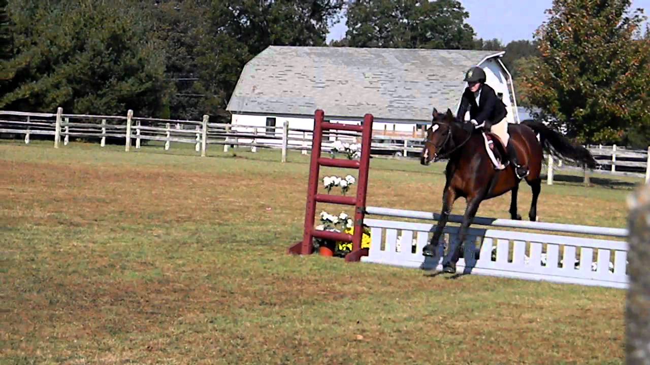 Erin Griffith ~ Intermediate Fences