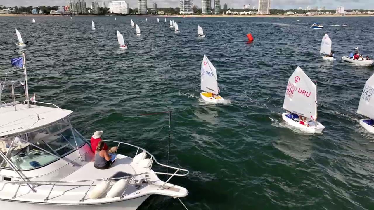 DJI 0081