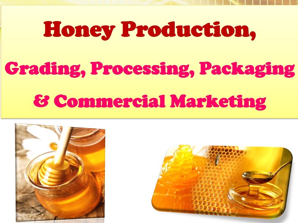 Honey Production | Grading | Processing | Packaging & Commercial Marketing.