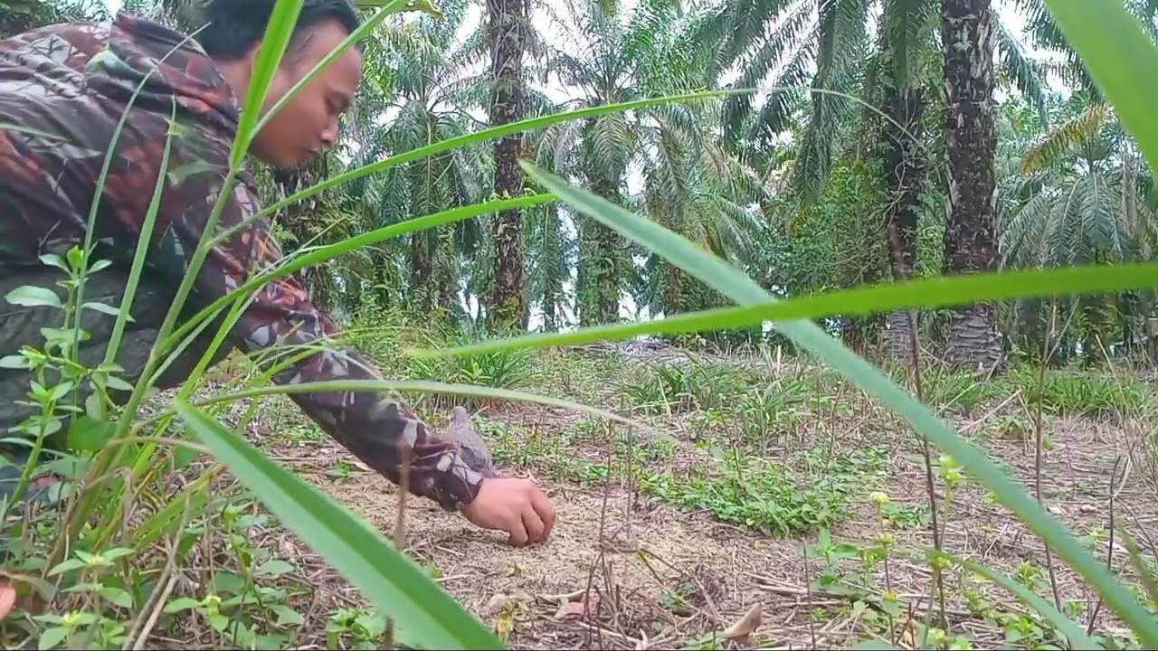 2 laman zonk....!!!! BL tidak mau masuk ke laman racik