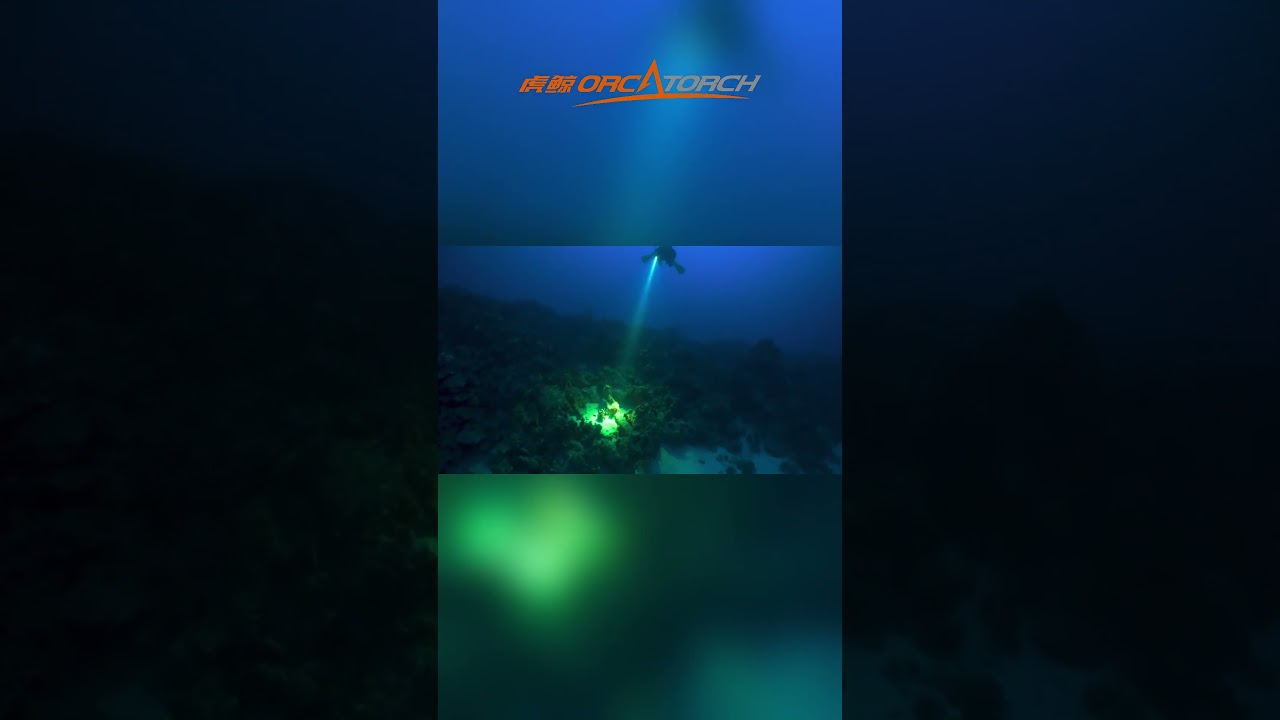 Best Light for Dive Instructor? 