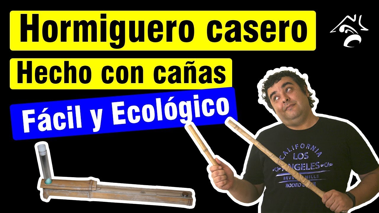 🐜🏠 Hormiguero casero de Cañas MUY FÁCIL y BARATO | Hormigas en casa ✅ ⭐⭐⭐⭐⭐