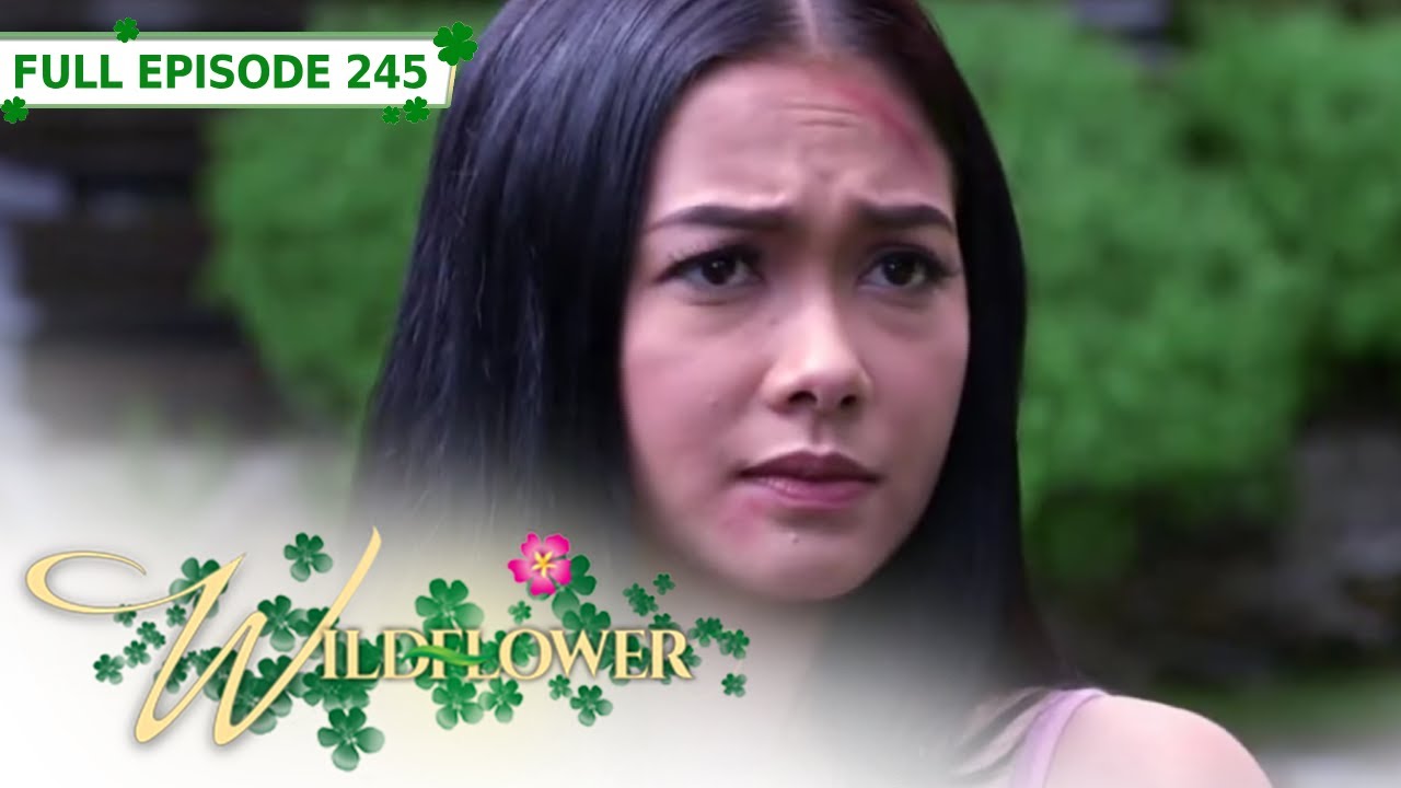Full Episode 245 | Wildflower with ENG SUB | Maja Salvador, Joseph Marco, RK Bagatsing