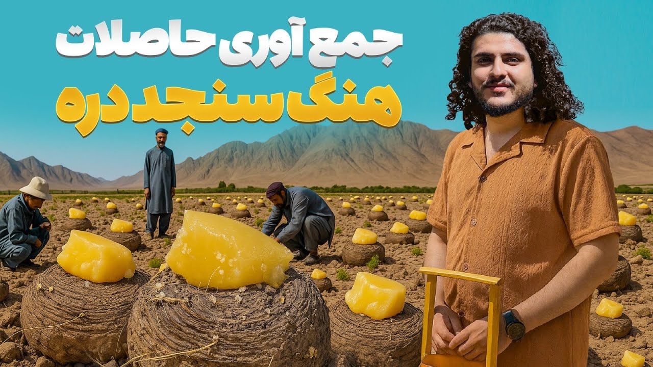 هی میدان  طی میدان - سفر باسط ایرج به سنجد دره در ولایت پروان