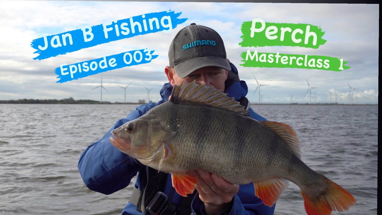 Perch Masterclass 1 Jan B fishing Episode 003