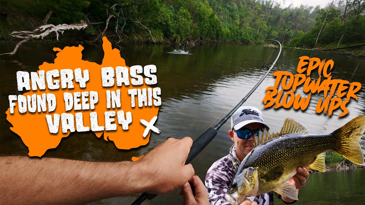 Aussie Bass EXPLODE on Topwater in a Deep Mountain Valley