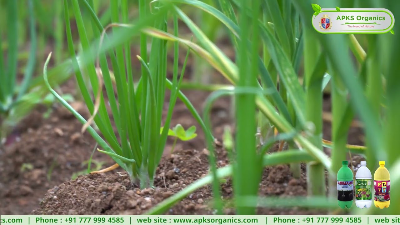 [ Tamil ] Garlic Online Farmer Mr. Kannan giving feedback about our Products