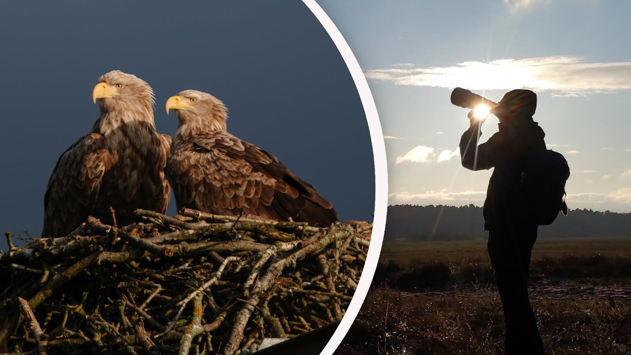 A Weekend of Birdwatching and Wildlife Photography