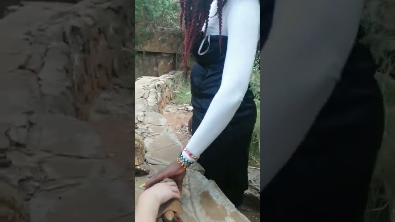 Sex determination in Fresh Water Turtoise