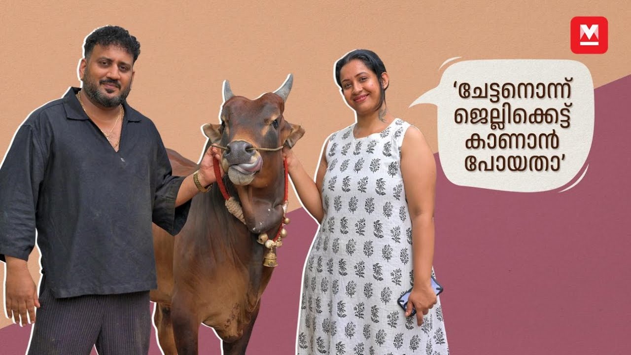 'ഇവൻ ആദ്യം എന്റെ പെറ്റ്സിനെ സെറ്റാക്കി' | Sowbhagya Venkitesh & Arjun Somasekhar