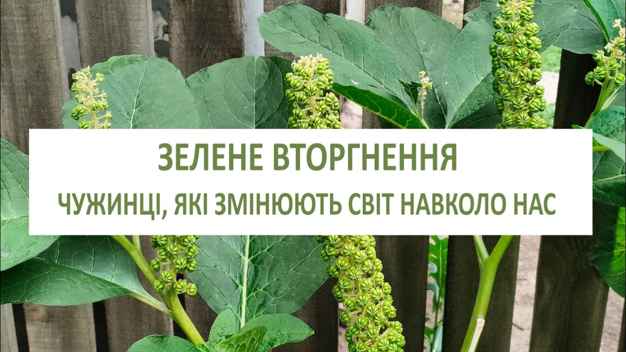 Інвазійні рослини: чужинці, які змінюють світ