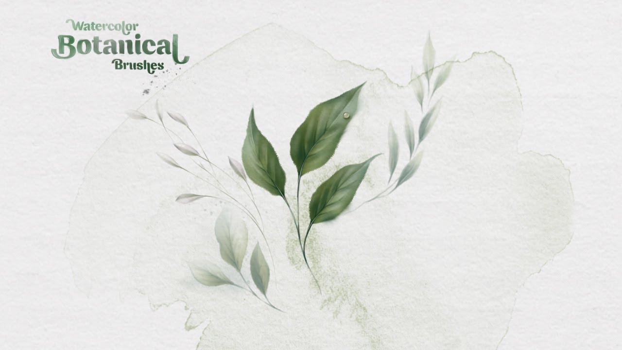 Botanical illustration PROCREATE