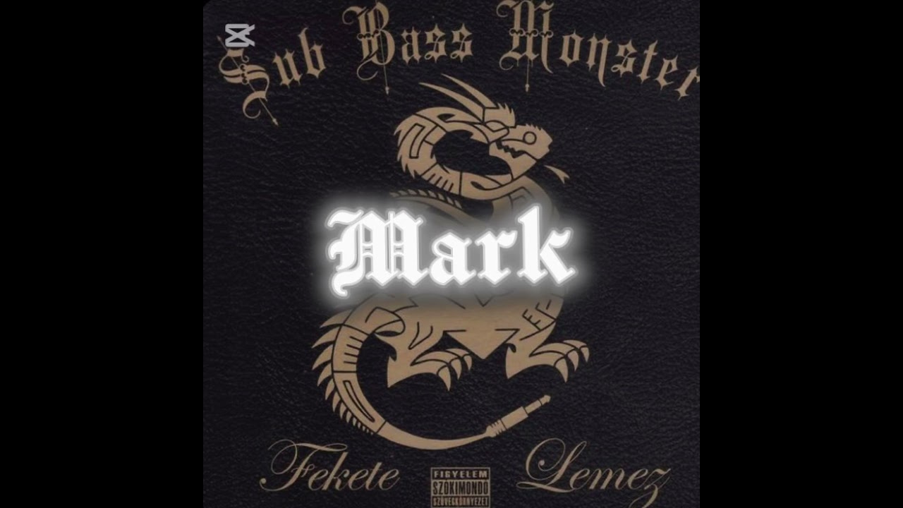 Sub bass monster pörög a fekete lemez