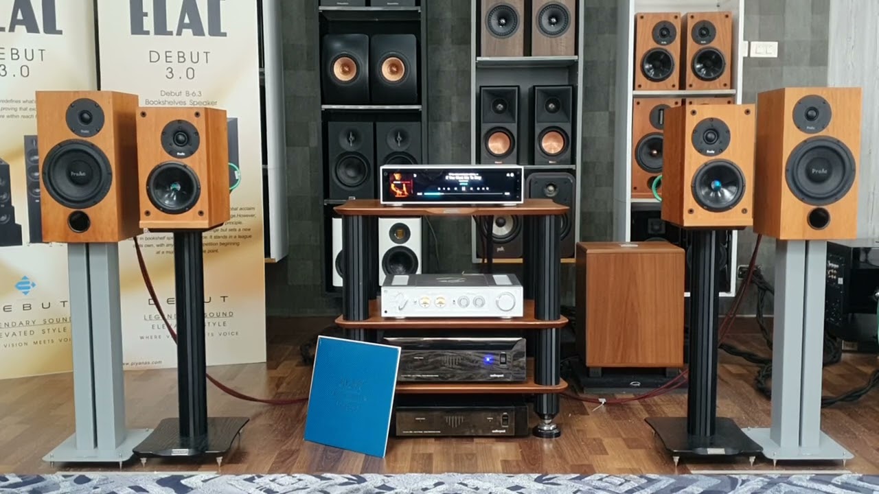 Hifi Rose RA-280 & ProAc Studio SM100