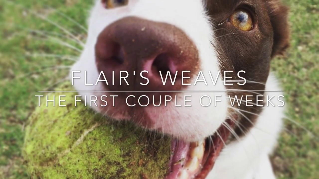 14 Days Of Weaves