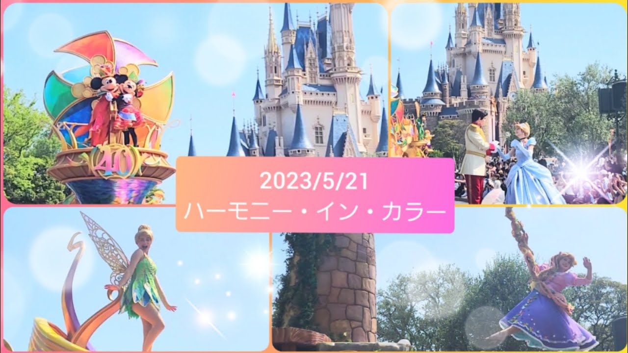 2023/5/21 Disney Harmony in Color/ディズニー・ハーモニー・イン・カラー