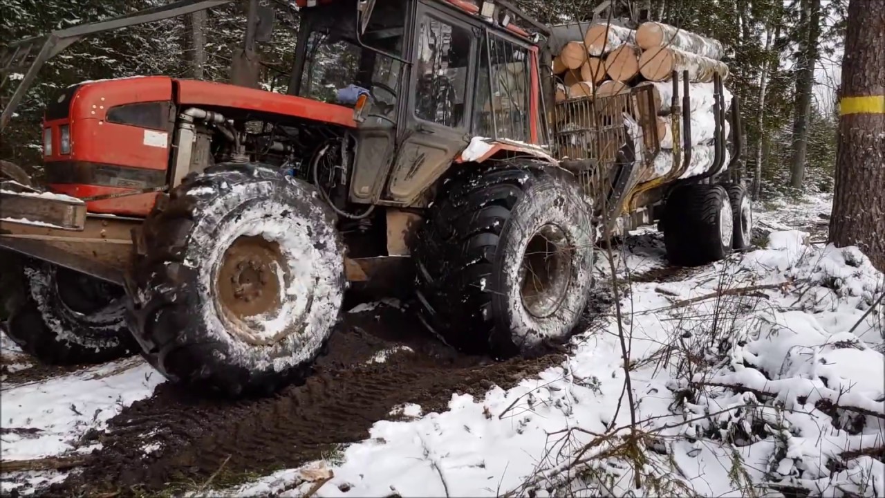 MTZ 952.3 with trailer Palms
