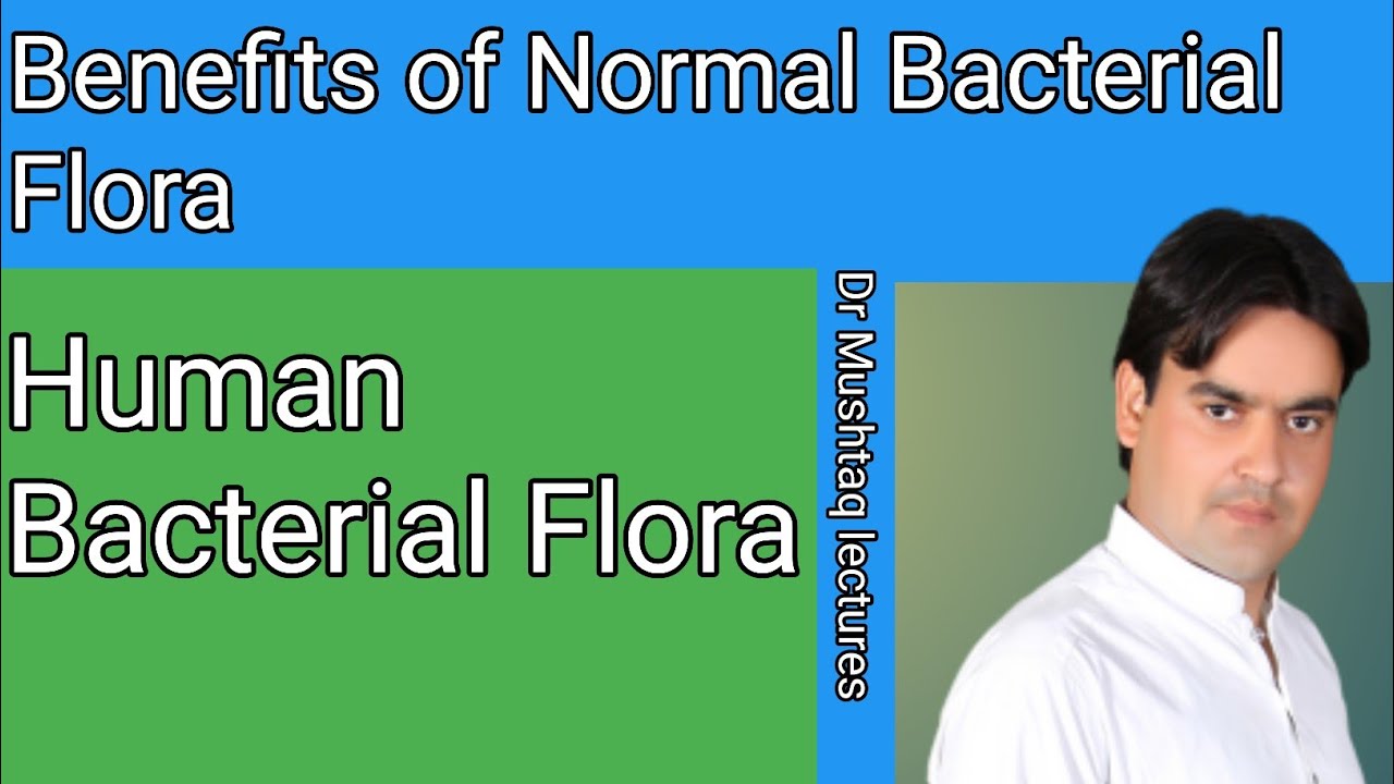 Human Bacterial Flora | Class 11 | Dr Mushtaq lectures