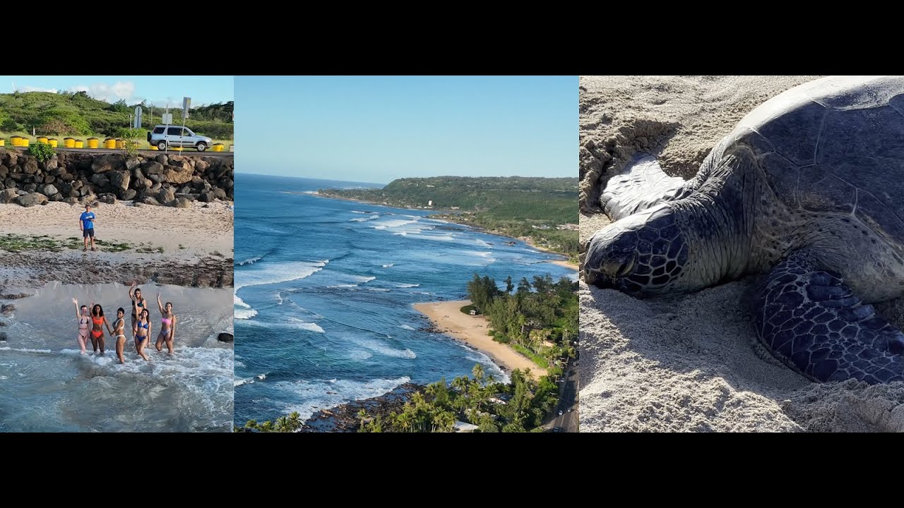 Laniakea Beach (aka Turtle Beach) Honolulu, Hawaii by drone in 4K