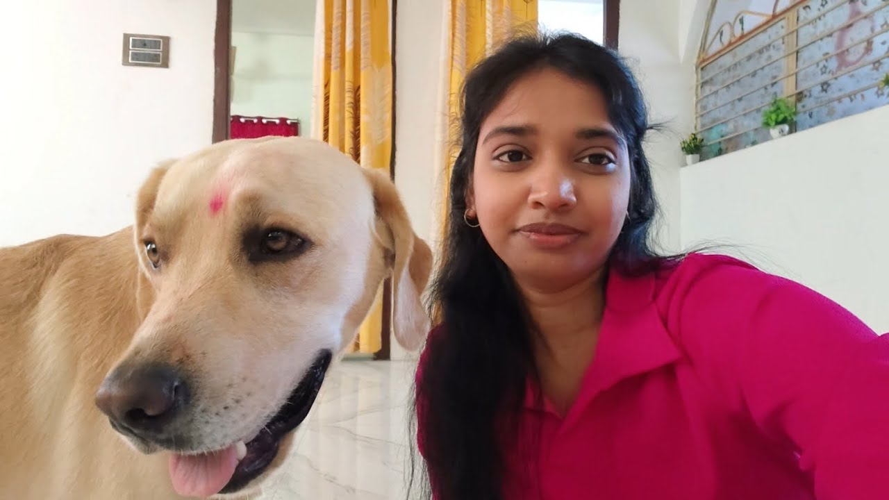 Aj joy ko Dada nehla rahe hain🐶❤ || @Journeyoffjoy 