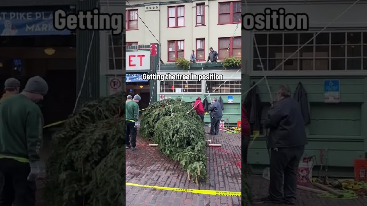 Holiday Tree at Pike Place Market!