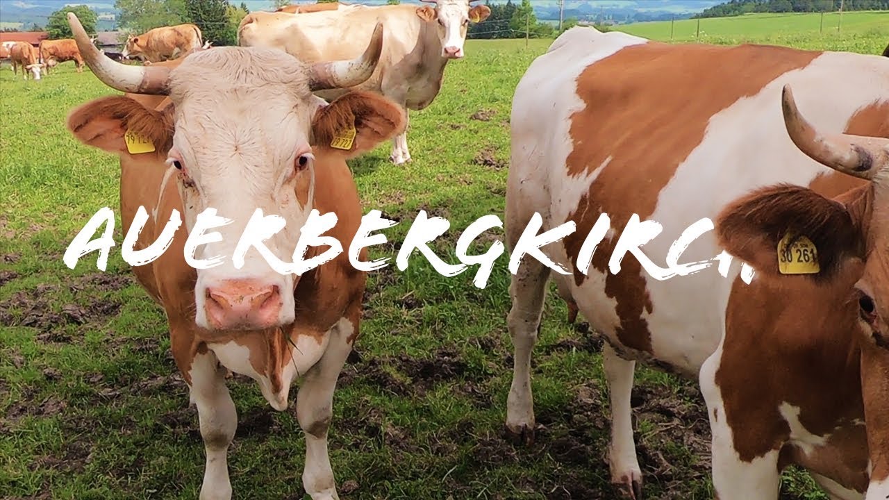 St. Georg church - Auerberg - Bavarian nature
