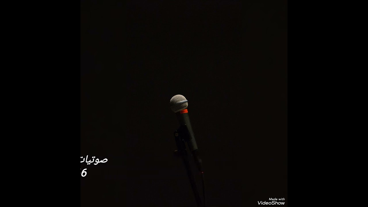 الفنانه فضه البيشي 