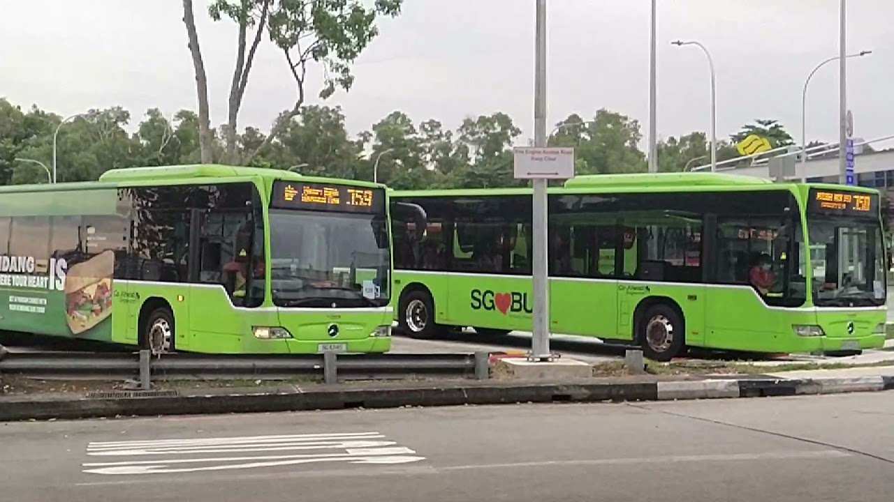 The Road Ahead (2021 NDP Theme Song): Singapore Buses Edition