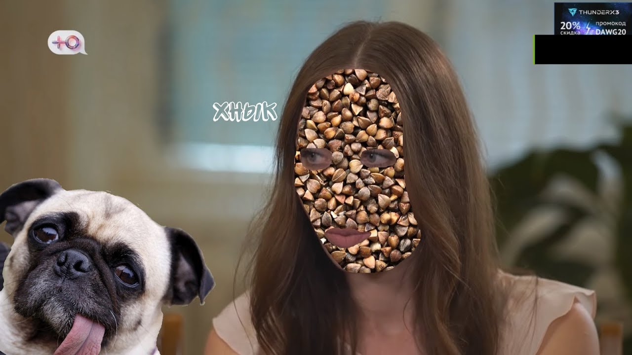 DAWG, POOT И ALISON СМОТРЯТ 