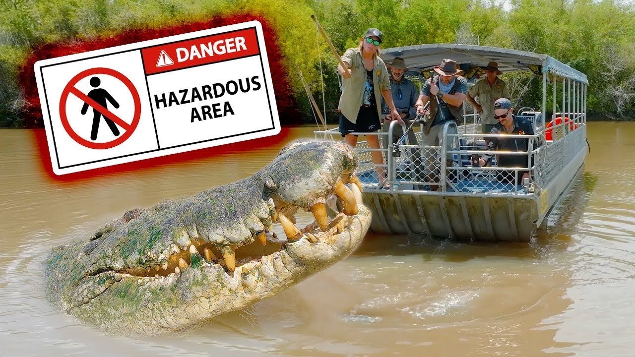 Am prins un CROCODIL URIAȘ! Ce să faci când întâlnești un crocodil URIAȘ? Film despre reptile