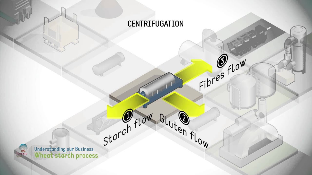 Wheat starch process