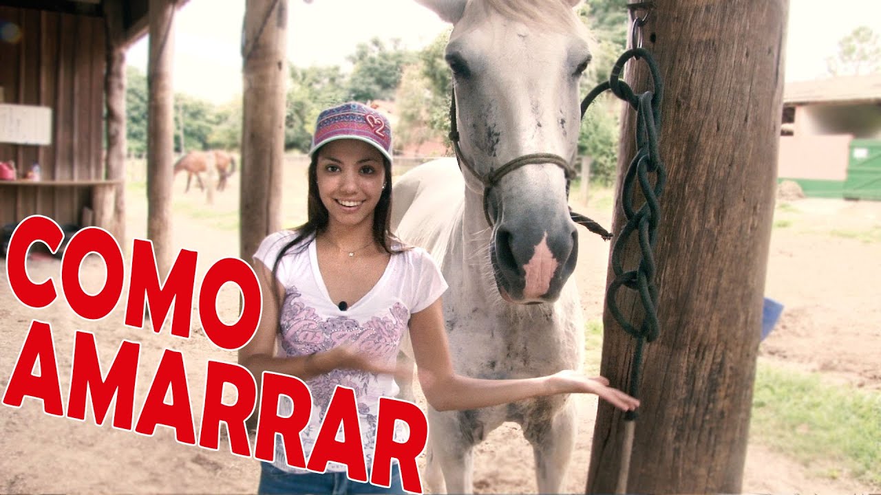 Como amarrar o cabresto na argola