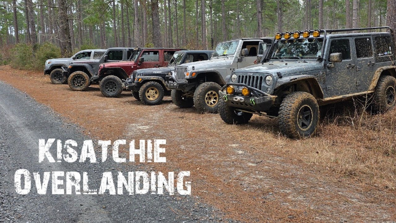 Kisatchie Overlanding Clearing Trails after Ice Storm