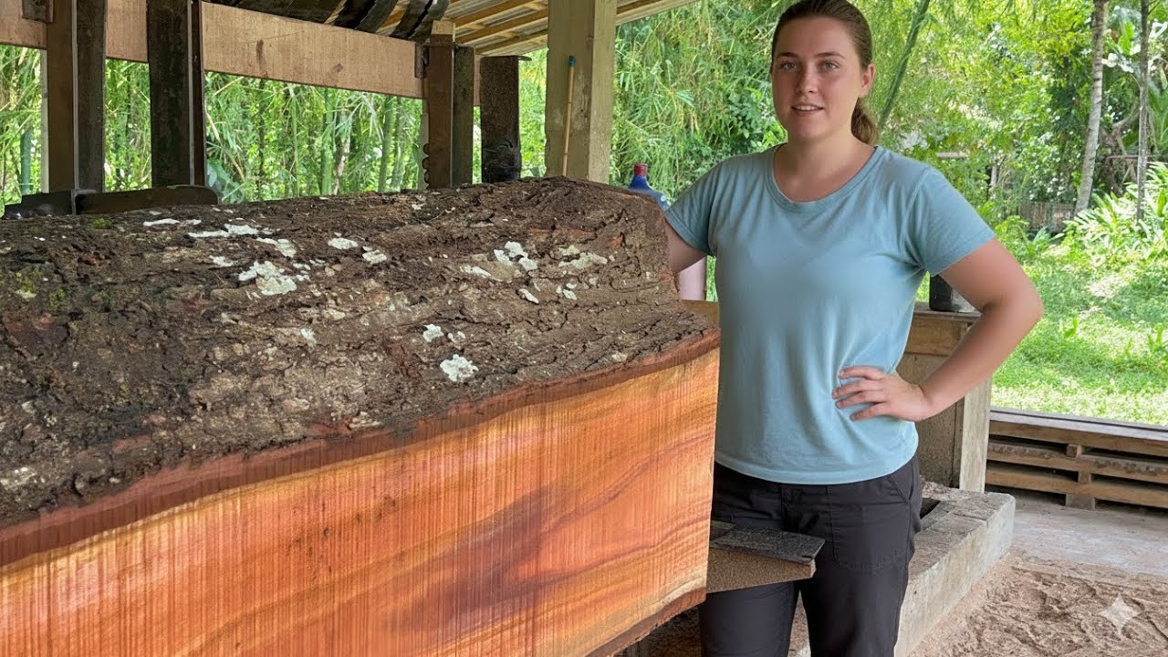 BATANG BESAR INI AKHIRNYA JADI PAPAN KUAT!