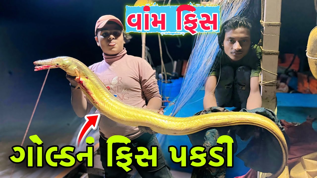 વાંમ ફિસ 🪱ll vam fish ll 7 ફુટની ફીસ 😱# દરીયા ની મોજ 