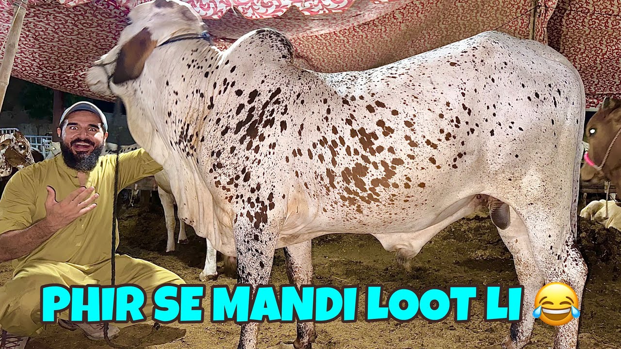 4 janwar le lye aaj 😂 🐂 boht mushkil se sodey baney aaj halat kharab hogai 😅