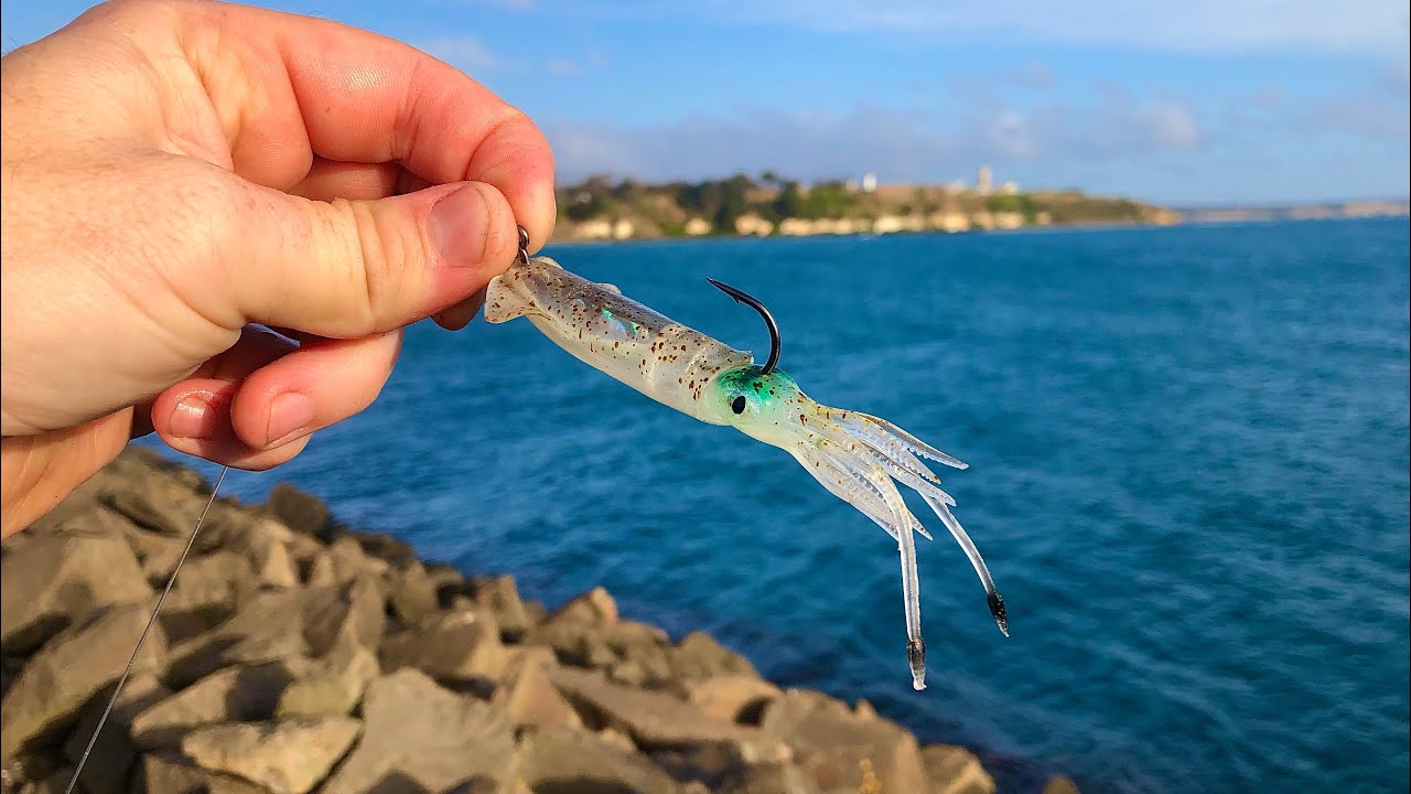 Rock Fishing With This Realistic Fishing Lure !?! Portland Breakwall