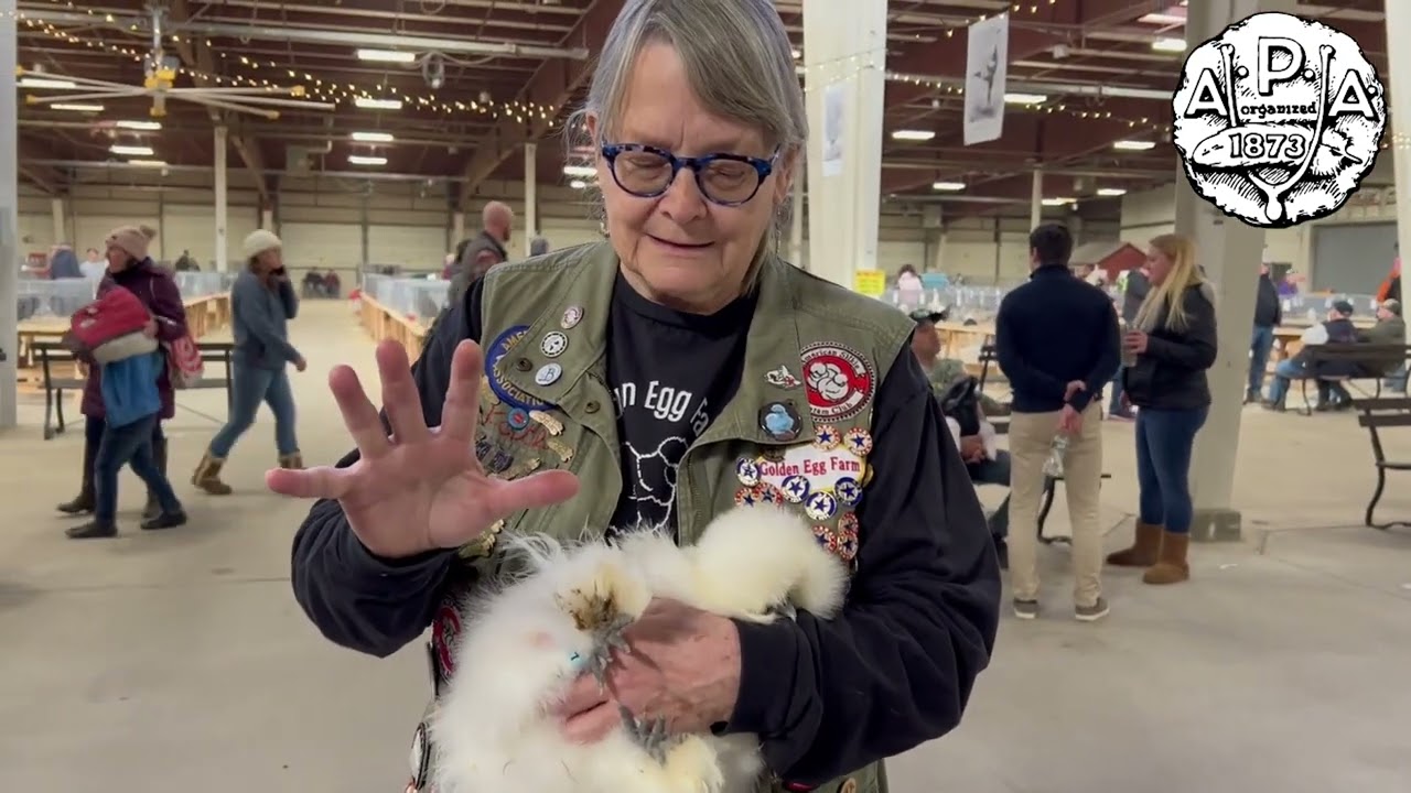 Kate Morreale shares tips on Exhibition Silkies