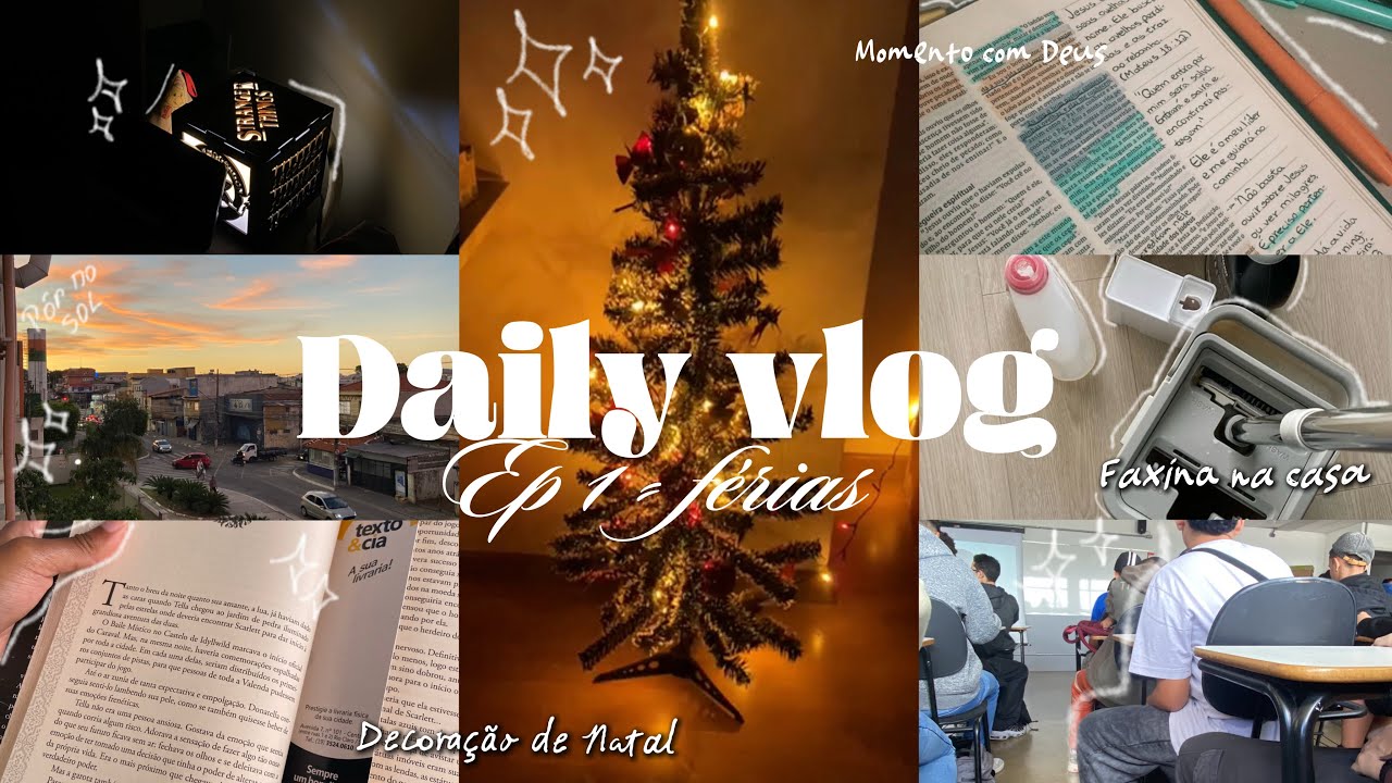 Daily vlog | faxina , malas , decoração de Natal , férias 🎄⛄️🐶💡