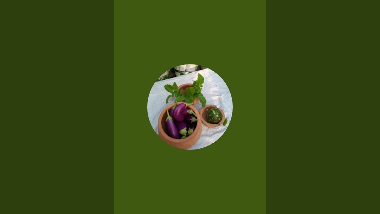 World of Garden🌱My first live!