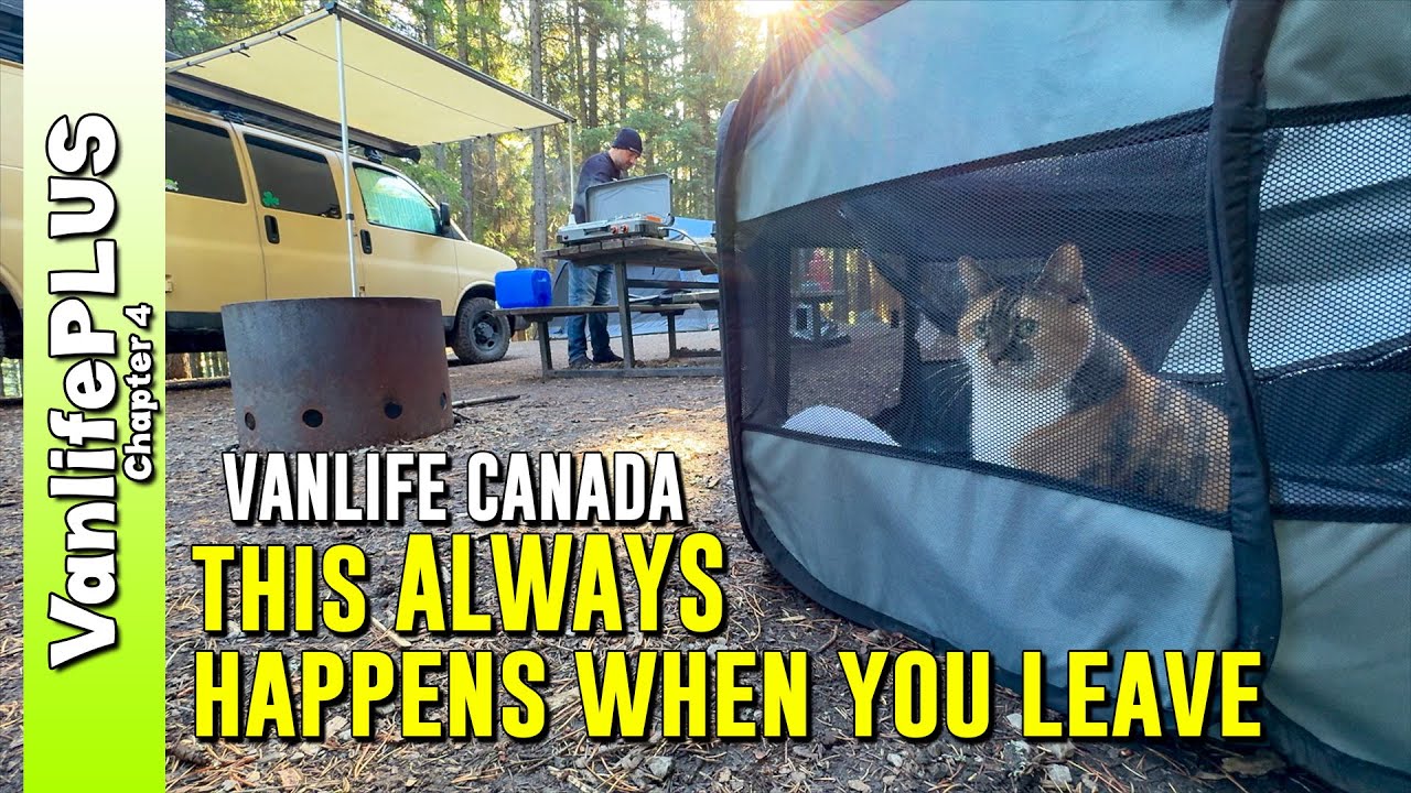 Vanlife Alberta - From Mountains to Hotel Walmart