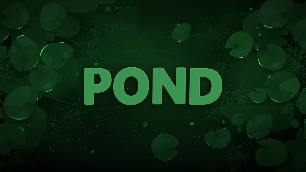 Pond | Shortfilm | ZCAM E2 M4