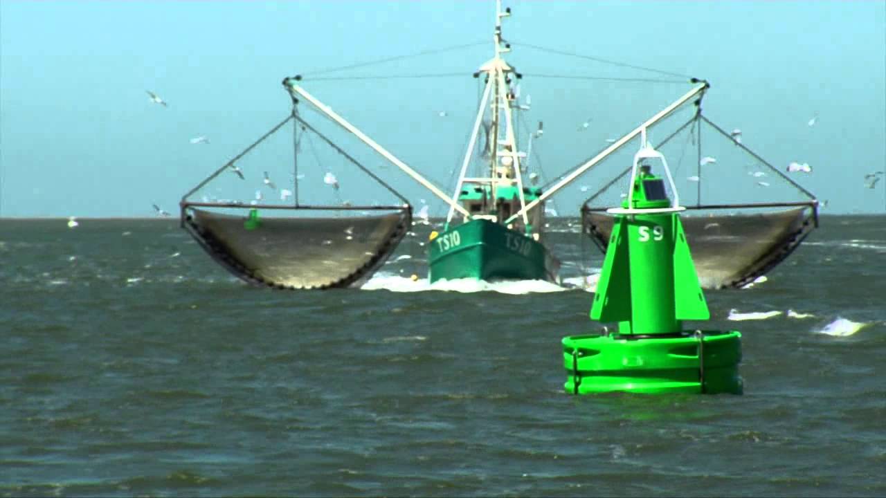 Een veilig, bereikbaar en leefbaar Waddengebied