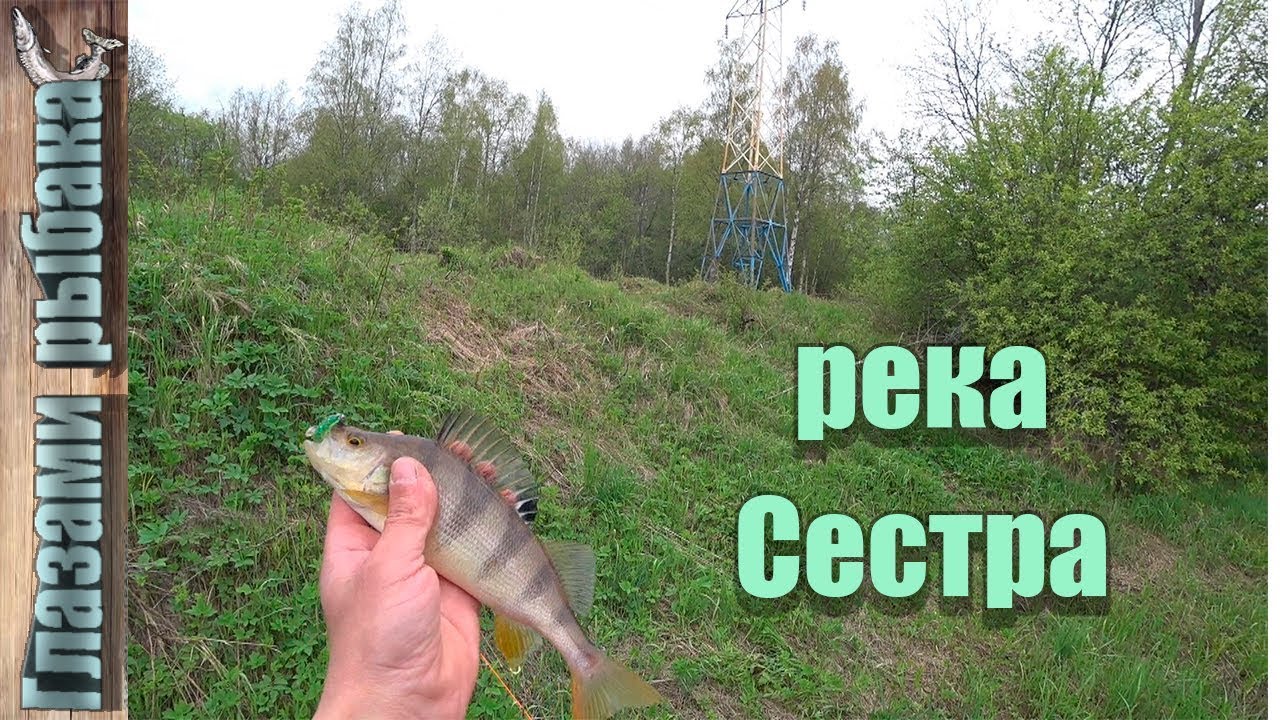 Река Сестра. Ультралайт.