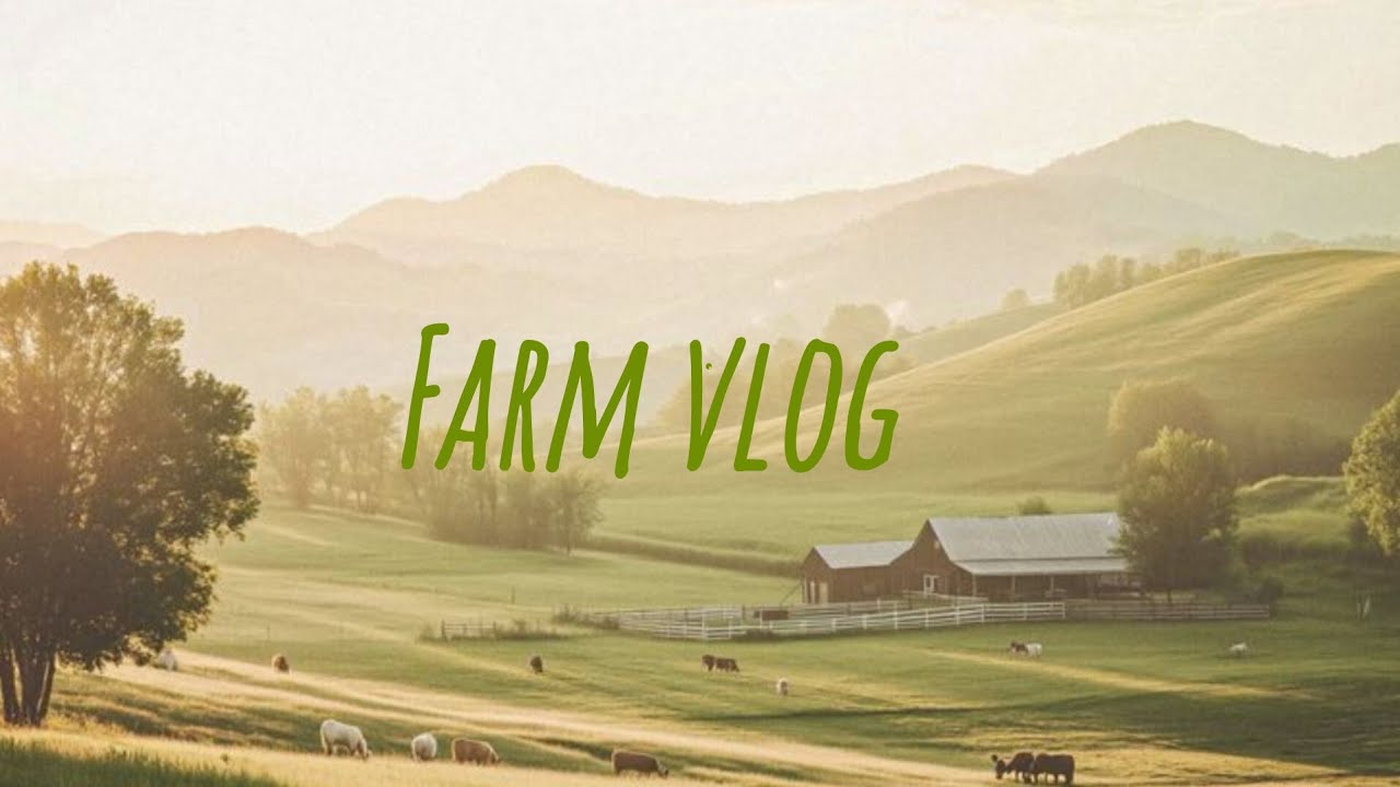 A Day In The Life Of Maddie: Going To The Farm in The Savannah