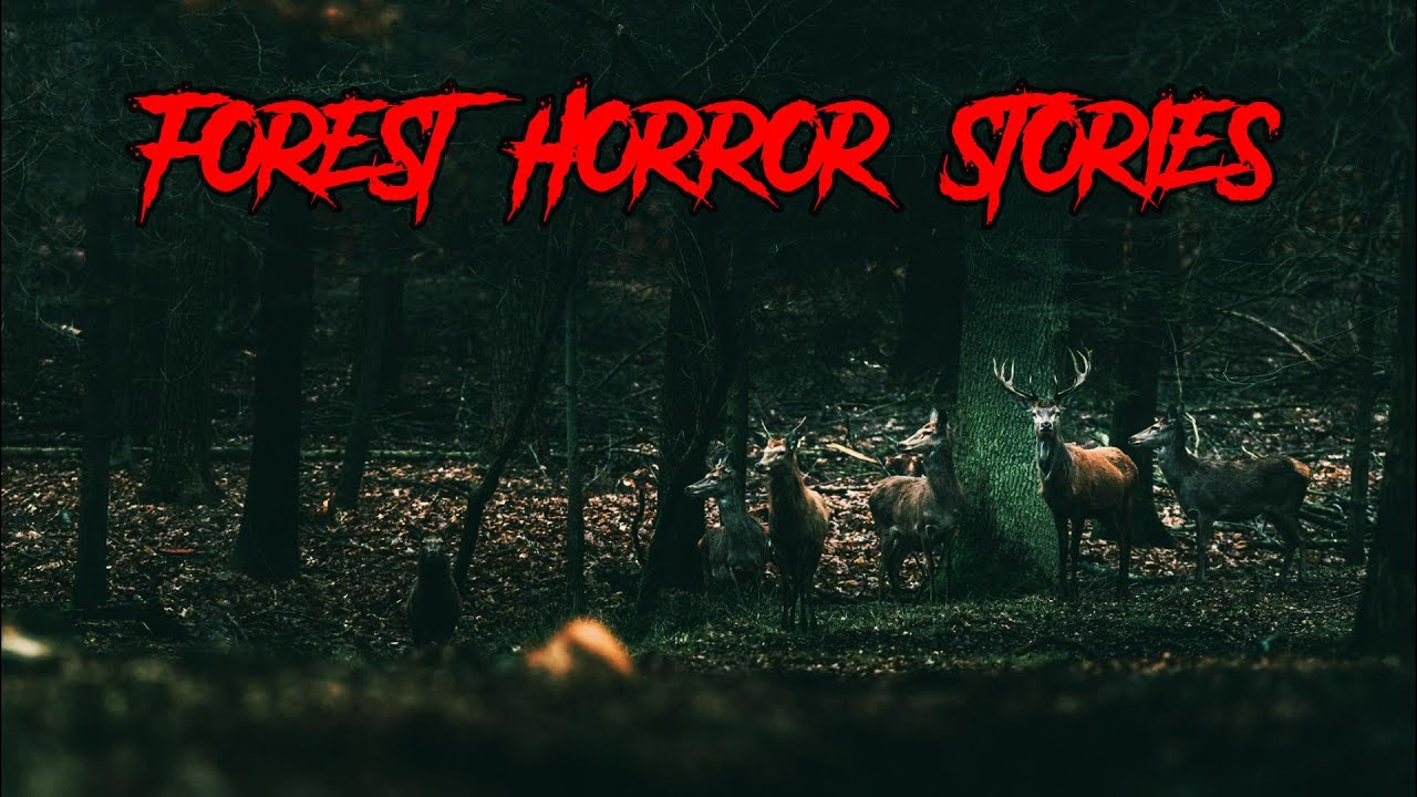 (3) Creepy FOREST Horror Stories [Hunted in the Woods & MORE!]