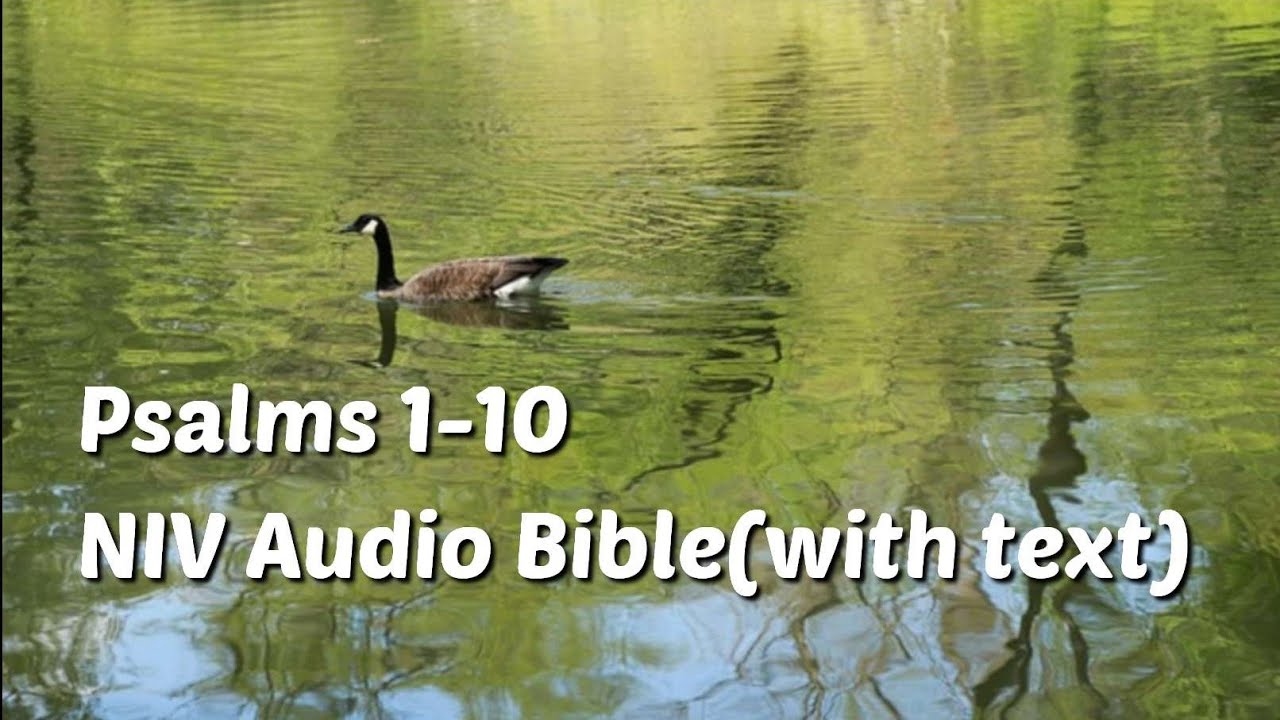 Psalms 1-10: NIV Audio Bible(with text)