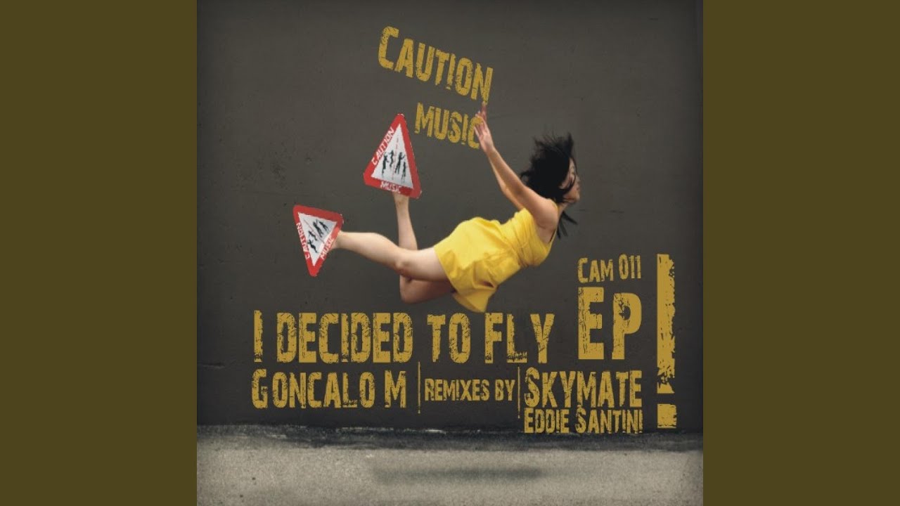 I Decided To Fly
